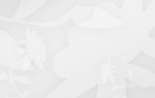 Dies ist ein Beispielbild